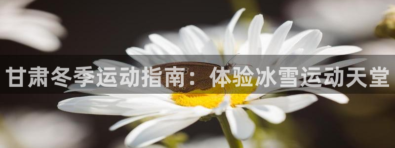 星欧娱乐扣款时间查询方法是什么意思