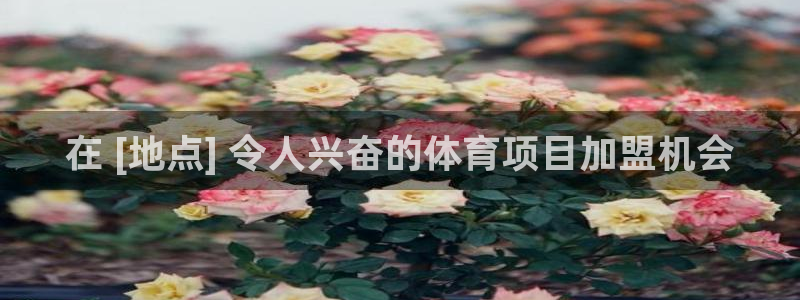 星欧娱乐伐官网注册