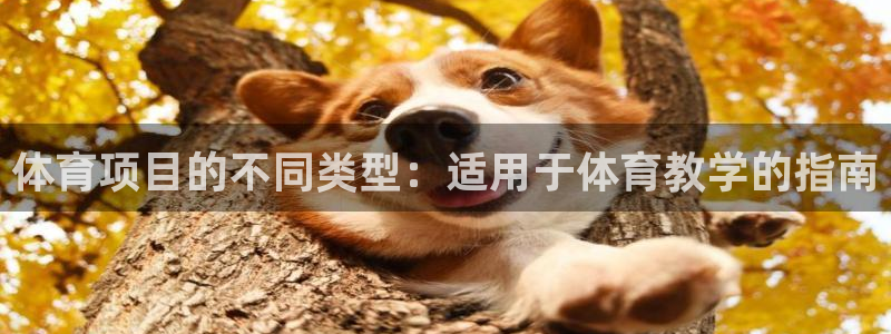 江苏星奥娱乐有限公司
