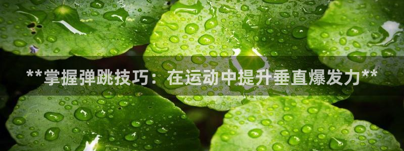 星欧娱乐扣钱步骤详解