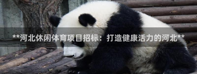 星欧娱乐官网首页