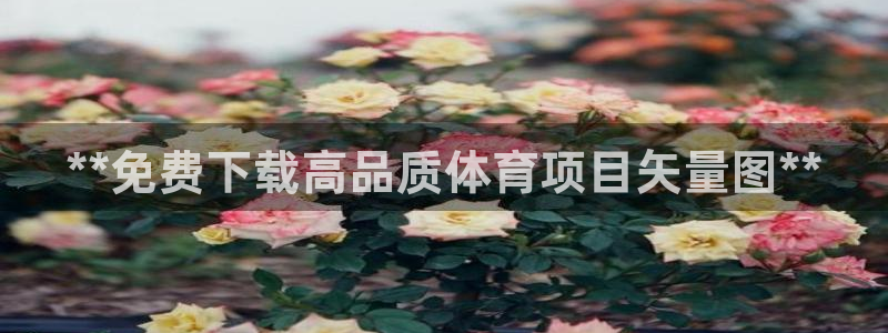星欧娱乐彩票软件下载