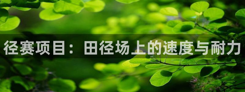 星欧娱乐扣款时间查询方法怎么查