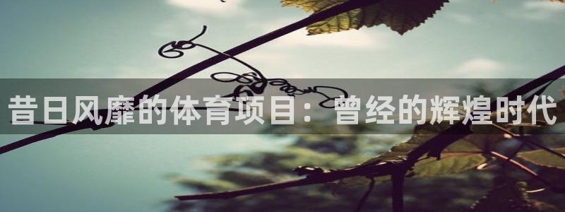 星欧娱乐彩票软件下载安卓