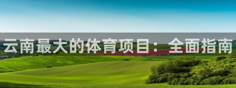 星娱乐online