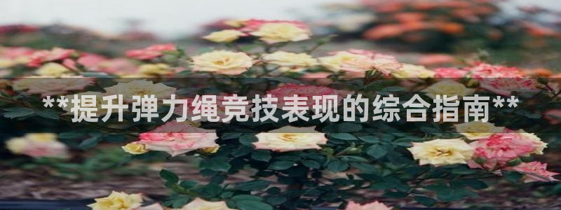 星欧娱乐彩票软件下载官网