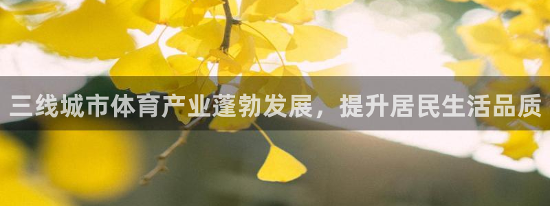 星澳娱乐公司怎么样