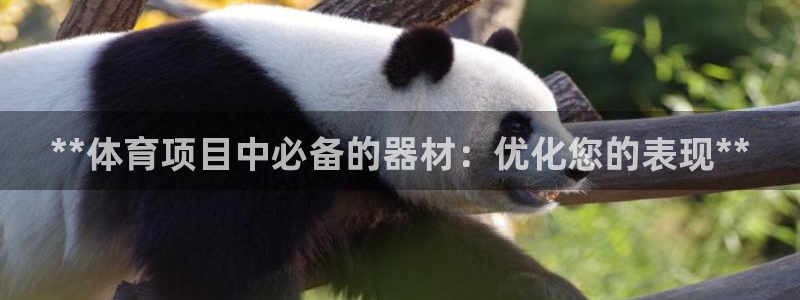 星欧娱乐最建议买的三个产品有哪些呢