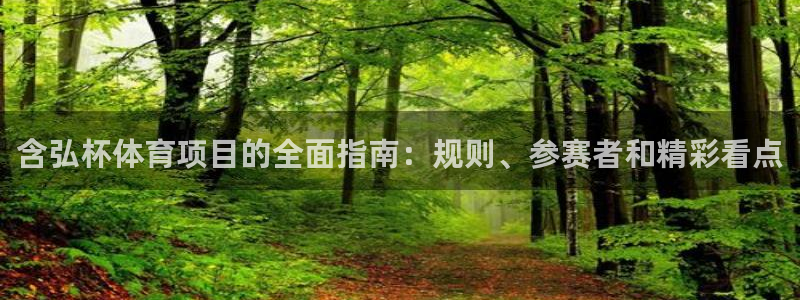 星欧娱乐属于什么档次的软件公司