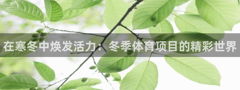 星欧娱乐扣款流程详解图片大全