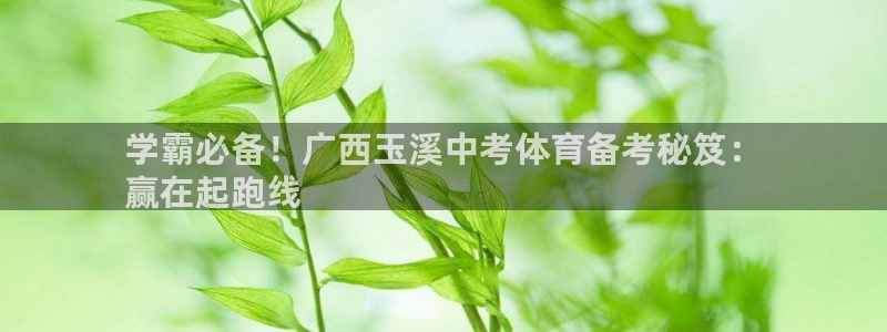 星欧娱乐平台怎么样啊可靠吗