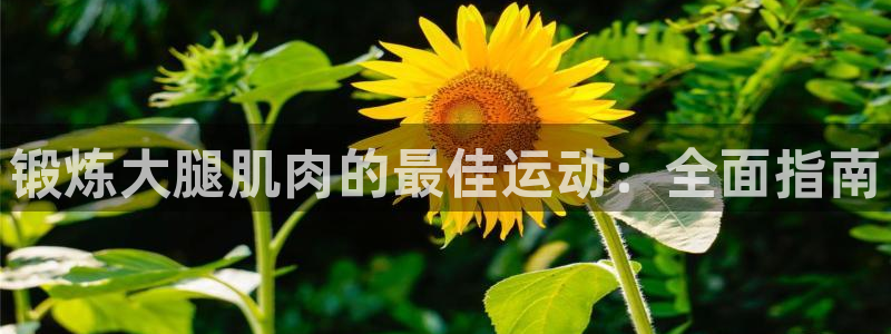 星欧娱乐的创始人背景故事介绍
