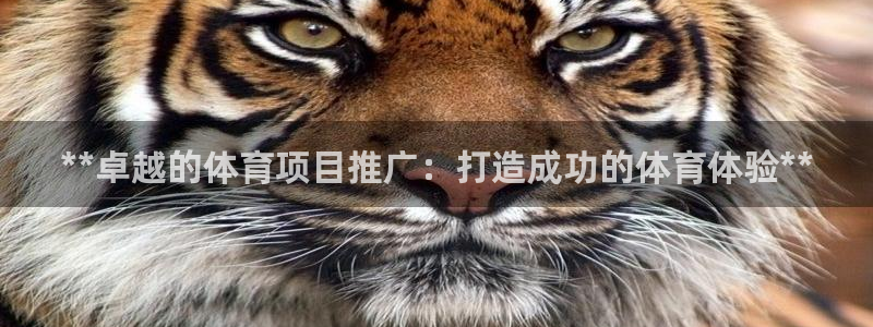 星欧娱乐扣费处理方法