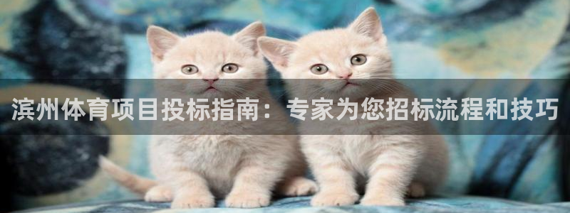 星欧娱乐扣款时间查询方法是什么