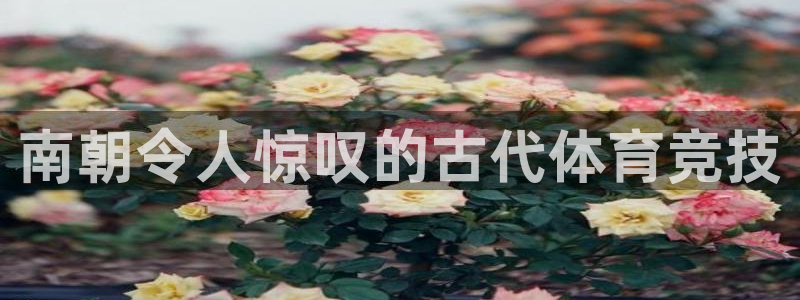 星欧娱乐公司地址
