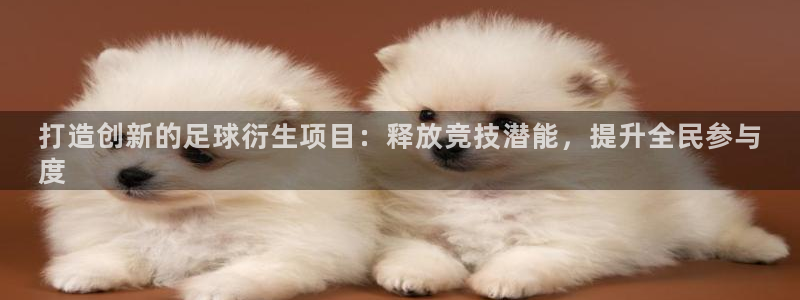 星欧娱乐总代.直开.中国