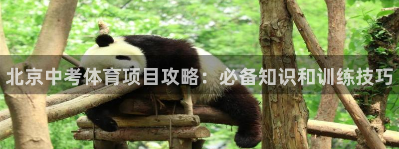 星欧娱乐平台怎么样知乎