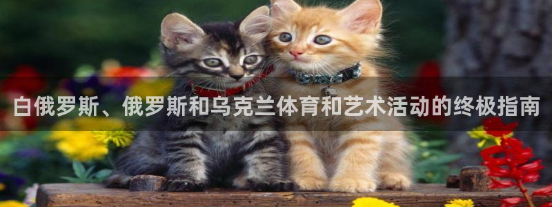 星欧娱乐扣款时间查询方法