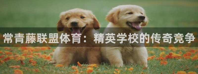 星乐娱乐官网