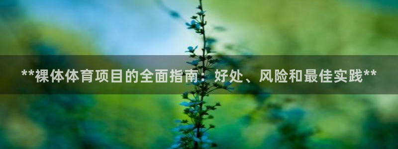 星奥娱乐集团股份有限公司