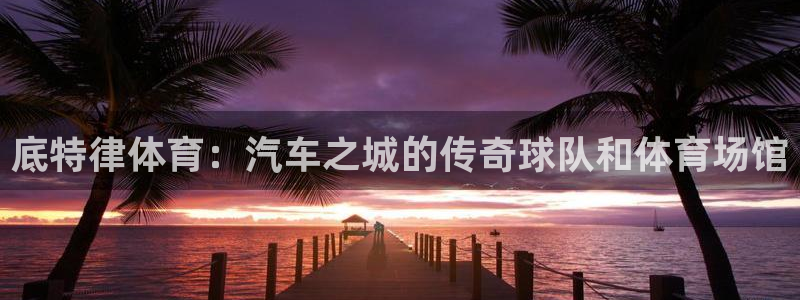 星欧娱乐扣款流程详解图