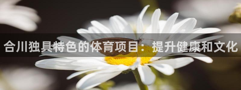 星欧娱乐扣款时间查询方法怎么查不到