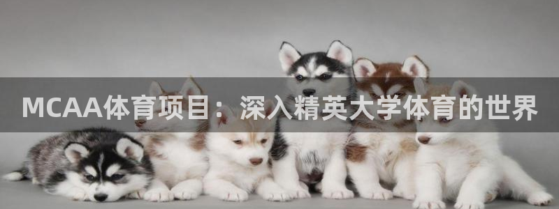 星欧娱乐扣钱步骤详解