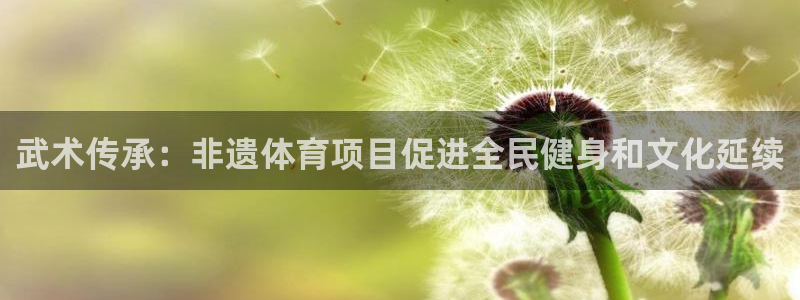 星欧娱乐扣款流程详解视频教程