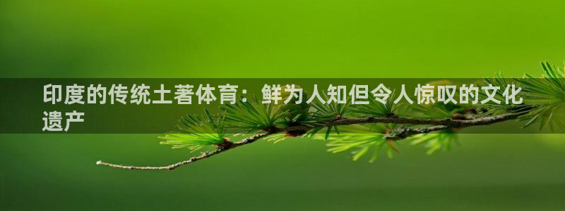 江苏星奥娱乐