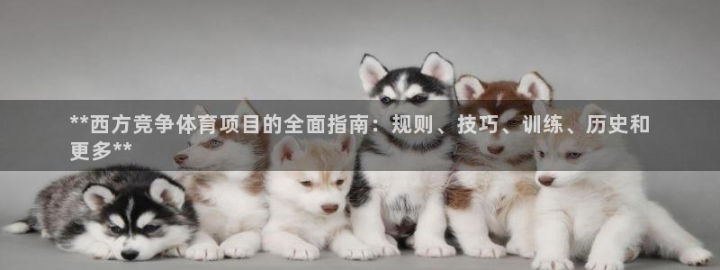 星欧娱乐平台测速线路