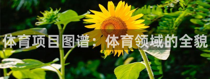 星欧娱乐退款流程详解