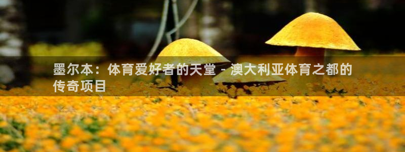 星欧娱乐平台怎么样啊安全吗