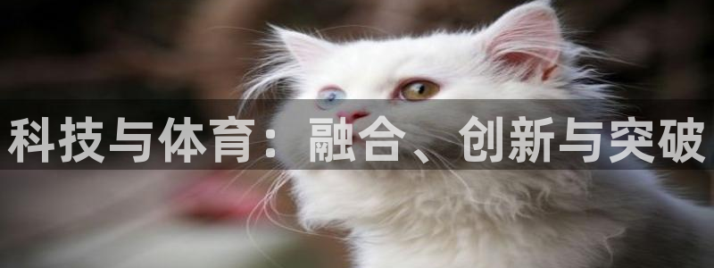 星欧娱乐扣款流程详解视频播放