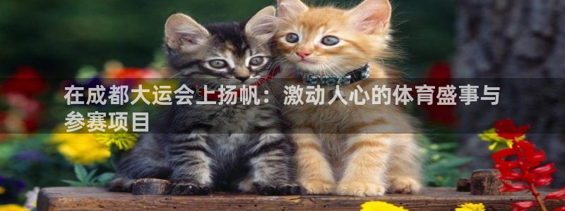 星欧娱乐伐711.112扣费的原因及处理措施