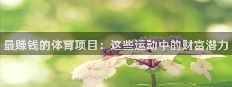星欧娱乐法711.112扣费如何处理