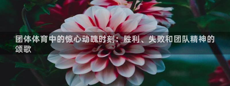星欧娱乐工客服电话24小时人工服务