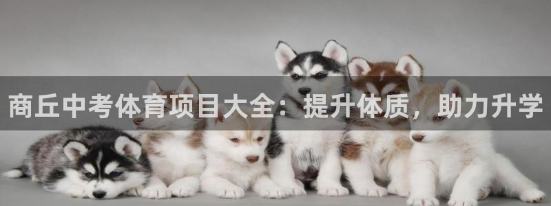 星欧娱乐扣款时间查询方法是什么样的