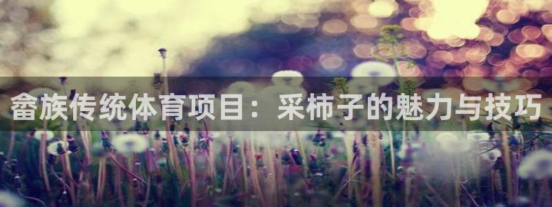 星奥盛典娱乐会所