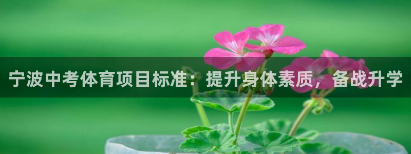 星欧娱乐官网