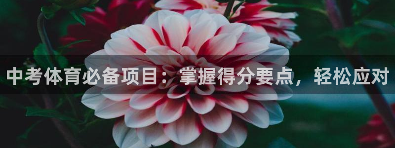 星欧娱乐彩票软件下载安装