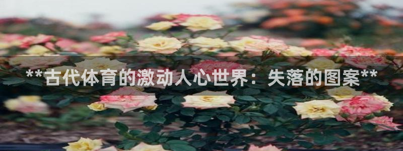 星欧娱乐平台怎么样可靠吗