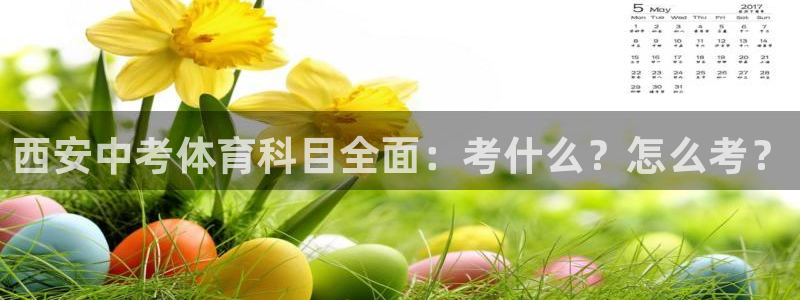 星娱乐online创作的原声这个歌曲叫什么名字