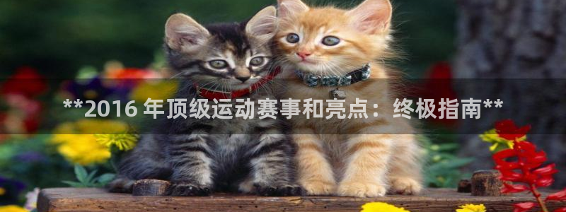 星欧娱乐扣款流程详解视频