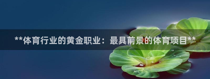 星奥娱乐集团股份有限公司