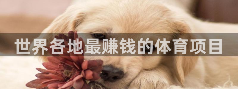 星欧娱乐的官方版本更新内容