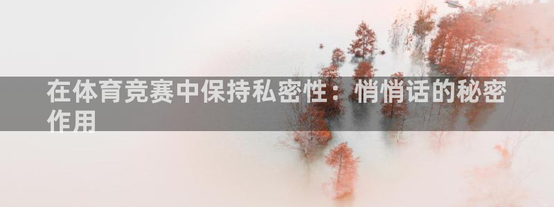 星欧娱乐属于什么档次的公司啊
