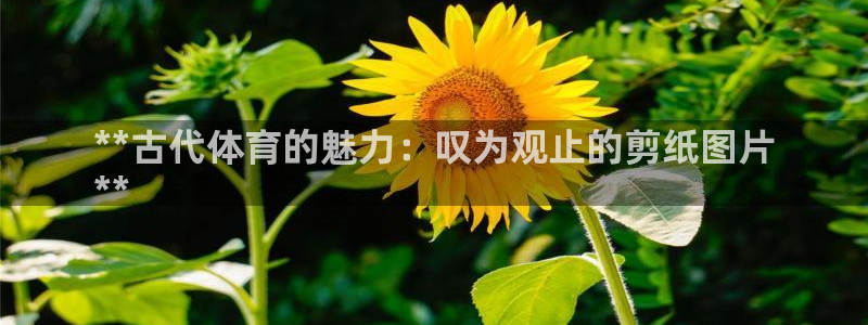 星欧娱乐退款流程详解