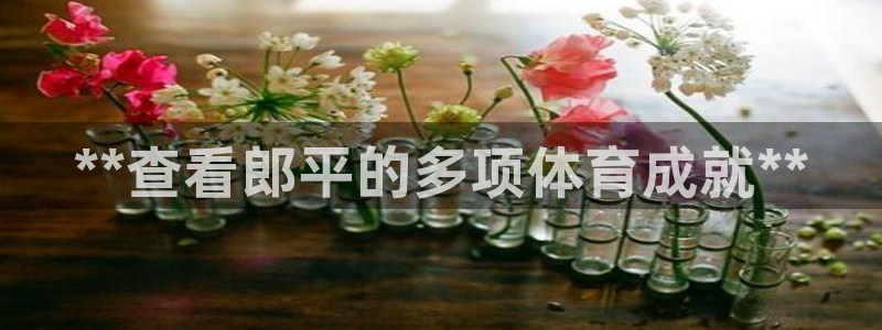 星欧娱乐的创始人背景故事简介