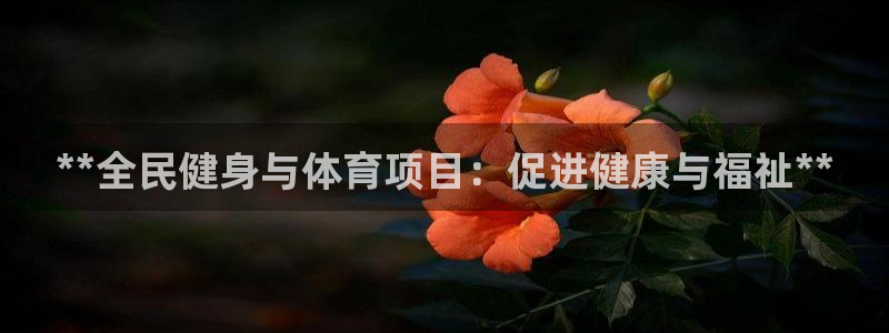 星欧娱乐属于什么档次的公司啊