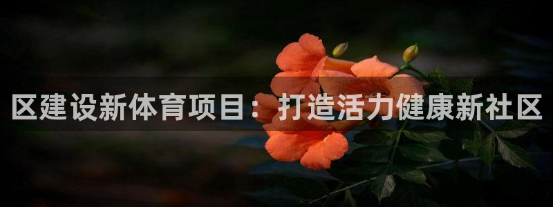 星澳娱乐公司地址